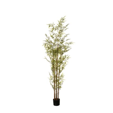 BAMBU 180CM