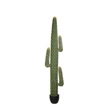 CACTUS MEXICO 170CM