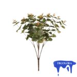 R.EUCALYPTUS BUNCH