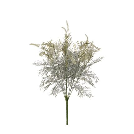 R.TASSEL FERN BUNCH