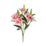 R.LILIUM REAL TOUCH *FUXIA