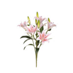 R.LILIUM REAL TOUCH *FUXIA