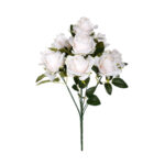 R.CAPULLO GRANDE *FUXIA