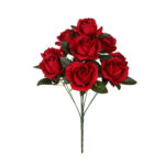 R.CAPULLO GRANDE *FUXIA