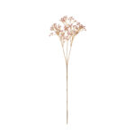 VARA GYPSOPHILA