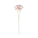 VARA GYPSOPHILA