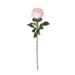 VARA PEONIA ELEGANCE