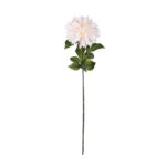 VARA ZINNIA ELEGANCE