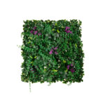 MURAL DISCHIDIA 50X50