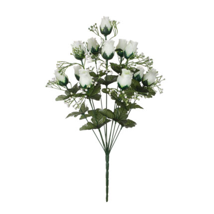 R.CAPULLO MINI PRIMAVERA *FUXIA