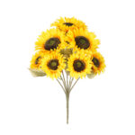 R. GIRASOL X7