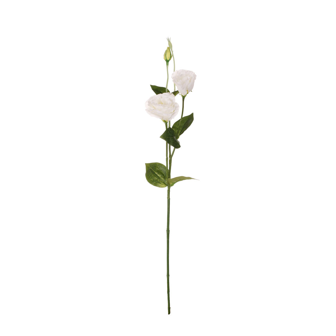 99009001-0.jpg VARA LISIANTHUS SPRING