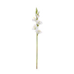 VARA GLADIOLO SPRING