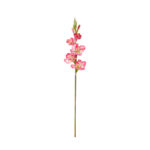 VARA GLADIOLO SPRING