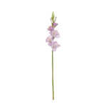 VARA GLADIOLO SPRING