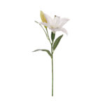 VARA LILIUM SPRING