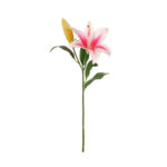 VARA LILIUM SPRING