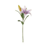 VARA LILIUM SPRING