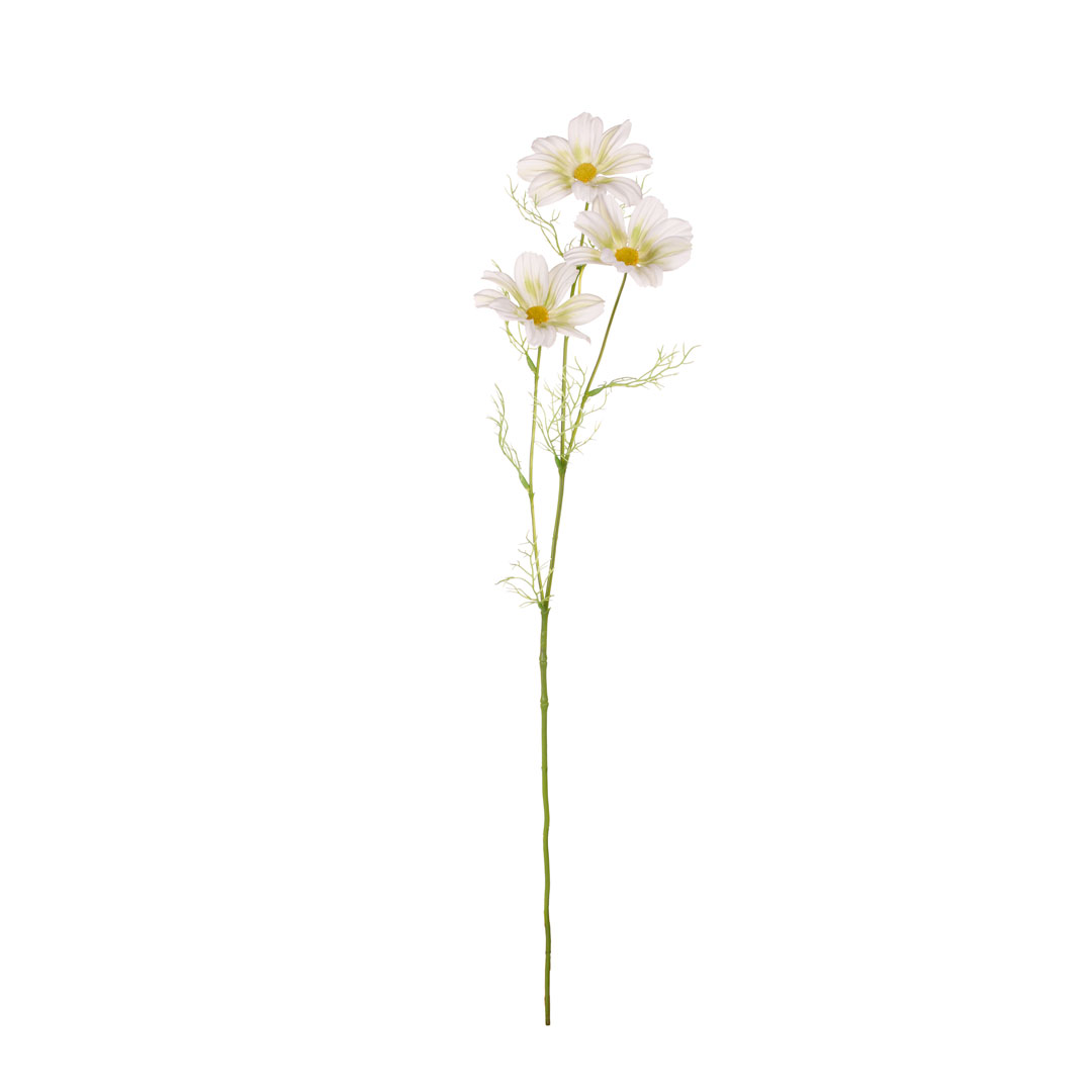 99009010-0.jpg VARA COSMOS