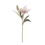 VARA LILIUM OTOÑAL