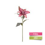 VARA LILIUM OTOÑAL