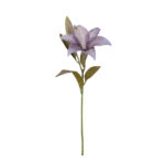 VARA LILIUM OTOÑAL