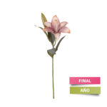 VARA LILIUM OTOÑAL