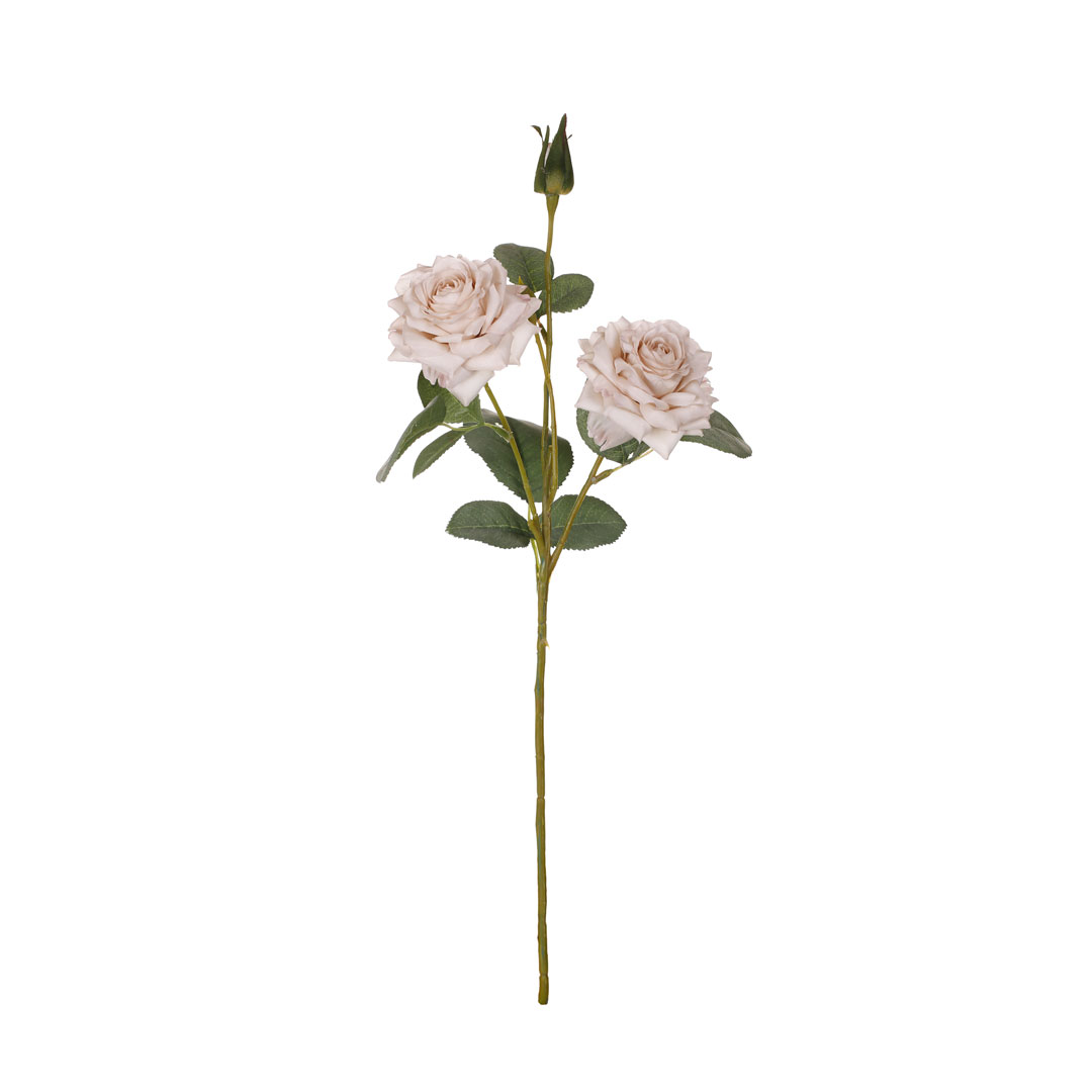 99009012-0.jpg VARA ROSA MDN OTOÑAL