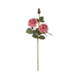 VARA ROSA MDN OTOÑAL