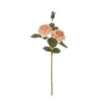VARA ROSA MDN OTOÑAL