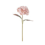 VARA HYDRANGEA OTOÑAL