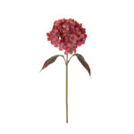 VARA HYDRANGEA OTOÑAL
