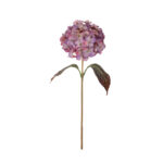 VARA HYDRANGEA OTOÑAL