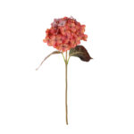 VARA HYDRANGEA OTOÑAL