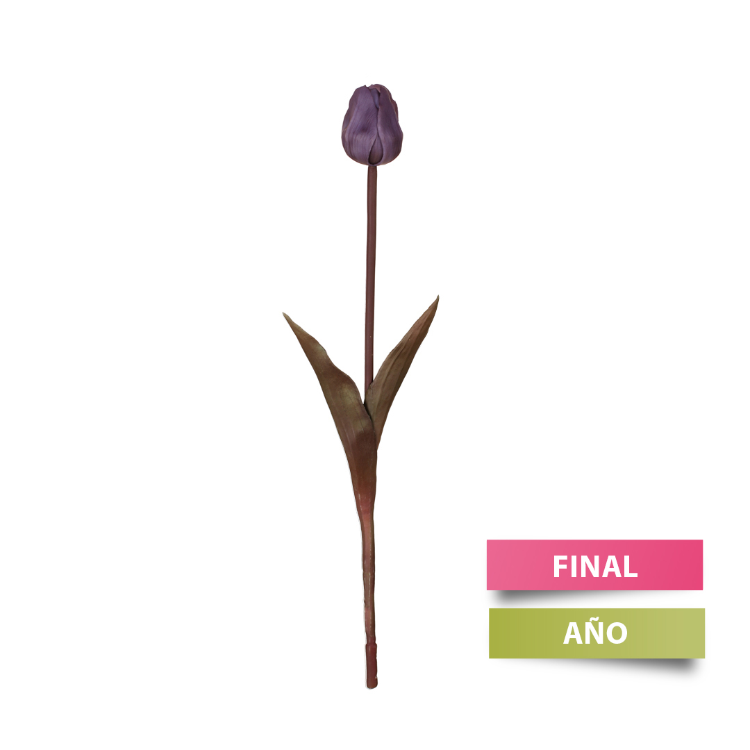 99009017-7.jpg VARA TULIPAN TACTO NAT. OTOÑAL *LILA
