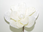 MAGNOLIA *FUXIA