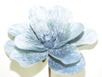 MAGNOLIA *FUXIA