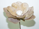 MAGNOLIA *FUXIA