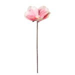 MAGNOLIA *FUXIA