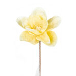 MAGNOLIA *FUXIA