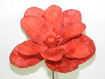MAGNOLIA *FUXIA