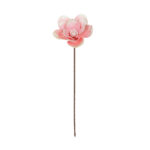 MAGNOLIA *FUXIA