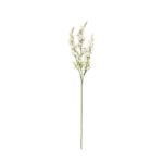 VARA CATMINT SPRAY