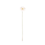 V. MINI GERBERA SPRAY
