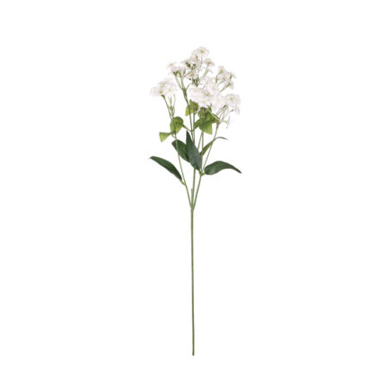 VARA DIANTHUS SPRAY