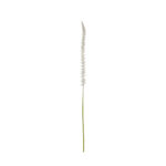 VARA DONKEY TAIL SPRAY