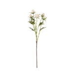 VARA ERYNGIUM SPRAY