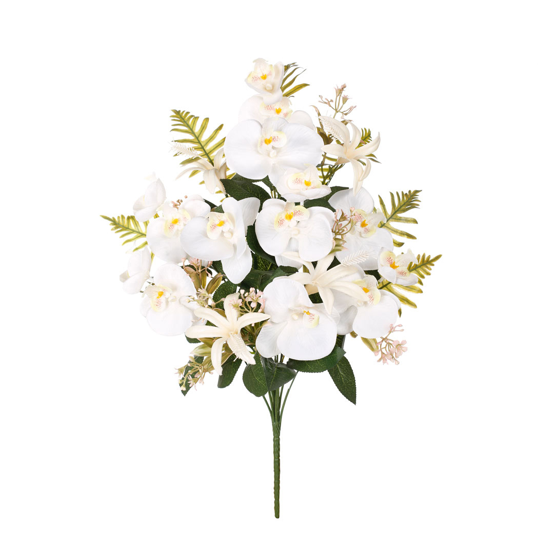 99015001-0.jpg R.ENC.ORQUIDEAS