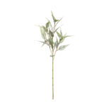 VARA EUCALIPTO WILLOW