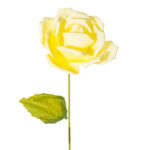 ROSA X1 PETALO VUELTO